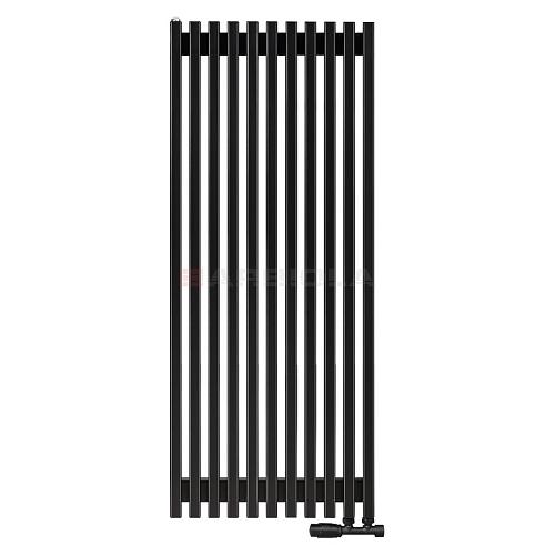 Arbiola Compact V 1250-63-11 секции черный вертикальный радиатор c нижним подключением